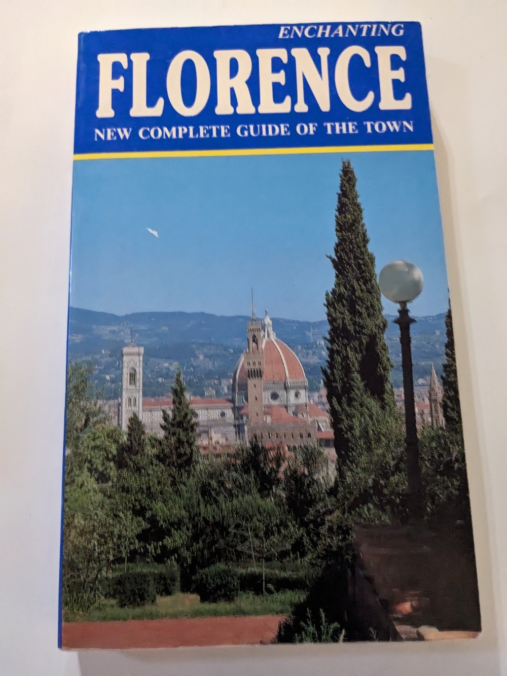 Florence Complete Travel Guidebook Art History Architecture Museums Italy Cultur